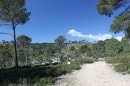 Du Pont de la Bécasse à la route de St Loup